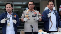 Kabid Humas Polda Metro Jaya, Kombes Argo Yuwono menyebut kasus itu berawal dari adanya laporan polisi pada tanggal 24 Juni 2019 dan 25 Juni 2019 jika ada pencurian sepeda motor di kawasan Bekasi. Polisi menyelidiki dan langsung menangkap tersangka Rudi dan Juki dikontrakannya pada tanggal 24 Juni lalu.