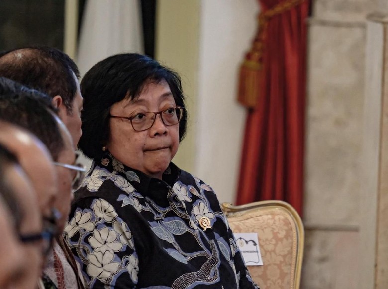 Menteri LHK: Karhutla Menurun 5 Tahun Terakhir, Pelanggar Pasti Ditindak Menteri LHK: Karhutla Menurun 5 Tahun Terakhir, Pelanggar Pasti Ditindak