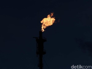 Korea Ingin Investasi Rp 47 Triliun di Kilang Dumai