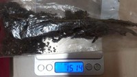 Polisi menangkap Jefri Nichol setelah mendapatkan informasi terkait penyalahgunaan narkoba di rumah pemain film Jailangkung ini. Barang bukti ganja jatuh dari atas kulkas saat rumah Jefri digeledah.