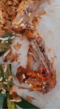 Jijik! Pelanggan Ini Temukan Belatung Dalam Potongan Ayam Pesanannya