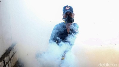 Melihat Aksi Pemburu Nyamuk Penyebab DBD