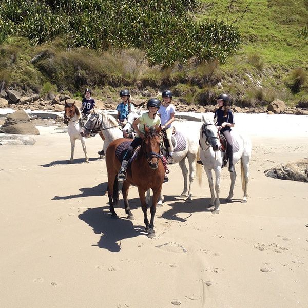 Berkuda di pantai? Coba saja ajak anak ke Pakiri Beach. Di sana, juga ada resor pinggir pantai yang cocok untuk liburan keluarga (Tourism New Zealand) Berkuda di pantai? Coba saja ajak anak ke Pakiri Beach. Di sana, juga ada resor pinggir pantai yang cocok untuk liburan keluarga (Tourism New Zealand)