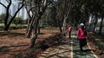 Kemarau! Taman Kemayoran Kekeringan