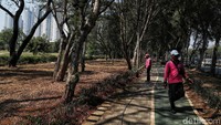 Penyiraman diintensifkan setiap pagi dan sore.