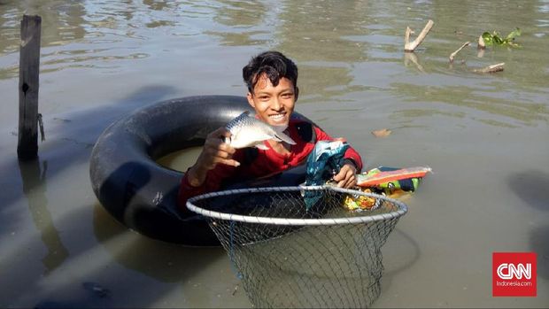 Ribuan Ikan Kali Surabaya Mati, Diduga Terpapar Limbah Pabrik