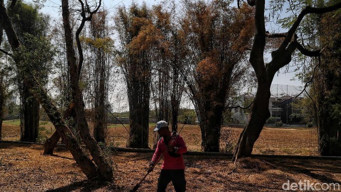 Darurat Kekeringan! Warga DKI Dilarang Bakar Sampah, Yuk Hemat Air Sebelum Terlambat