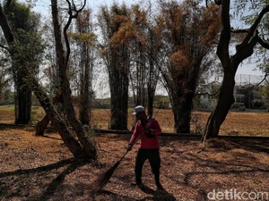 Cegah Kekeringan Jelang Kemarau, Warga DKI Diimbau Tak Bakar Sampah-Hemat Air