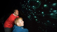 Waitomo Caves menawarkan pengalaman terbaik untuk melihat glowworm, cacing yang menyala dalam gelap di Selandia Baru. Untuk memasuki gua, Anda dapat menggunakan perahu kecil untuk menyusurinya (Tourism New Zealand)