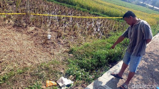Cerita Warga yang Inisiatif Tutupi Jasad Amelia di Tepi Sawah