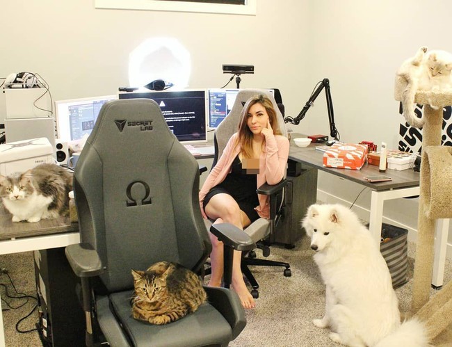 Setelah videonya itu menjadi viral, netizen menemukan video lain dimana selebgram dengan 256 ribu lebih pengikut ini meminum vodka dan kemudian mencoba menyemprotkannya ke kucingnya. People for the Ethical Treatment of Animals (PETA), organisasi hak asasi binatang mengecam tindakan Alinity dan menguraikan bahwa Alinity menggunakan platform untuk mendukung kekejaman terhadap hewan. Foto: Instagram