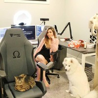 Setelah videonya itu menjadi viral, netizen menemukan video lain dimana selebgram dengan 256 ribu lebih pengikut ini meminum vodka dan kemudian mencoba menyemprotkannya ke kucingnya. People for the Ethical Treatment of Animals (PETA), organisasi hak asasi binatang mengecam tindakan Alinity dan menguraikan bahwa Alinity menggunakan platform untuk mendukung kekejaman terhadap hewan. Foto: Instagram