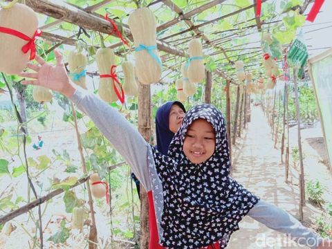 Warga Wonogiri Kembangkan Solusi Pertanian untuk Daerah Kurang Air