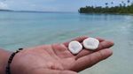 Foto: 2 Pulau Super Cantik di Aceh yang Jarang Orang Tahu