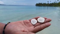 Panoramanya masih sangat alami. Saking jernihnya air, traveler dari atas kapal dapat melongok bawah laut dengan mata telanjang. (Agus Setyadi/detikcom)