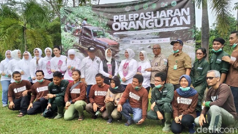 Istri Kapolri dan Istri Menko Polhukam Adopsi Bayi Orang Utan Istri Kapolri dan Istri Menko Polhukam Adopsi Bayi Orang Utan