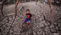 Seorang anak bermain ayunan di atas tanah yang retak akibat musim kemarau, Rabu (24/7/2019).