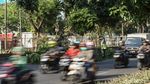 Pohon Tumbang di Daan Mogot Bikin Macet