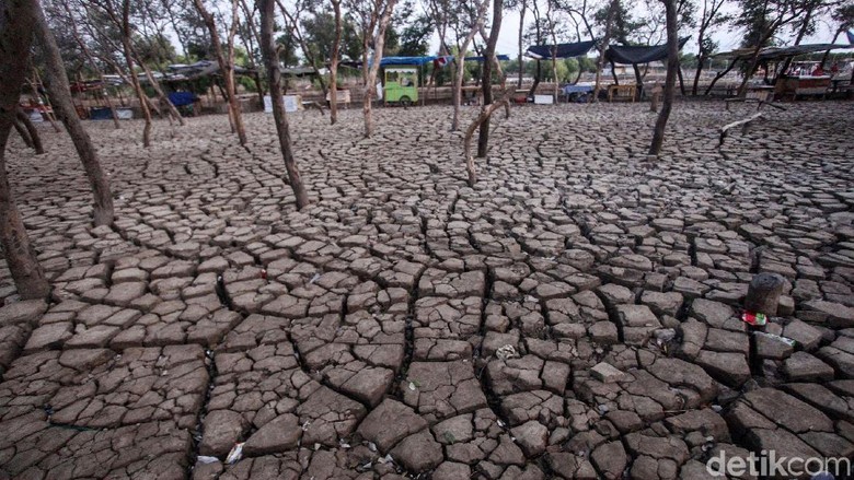 Tanah Retak Akibat Kemarau Jadi Tempat Wisata Baru Di Tangerang