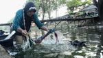 Potret Warga Mencuci Baju di Sungai Cisadane Tangerang