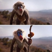 Bagaimana menurut kamu ketika Simba, Nala, Scar, Pumbaa dan Timon diberikan ekspresi pada wajah mereka? Foto: Dok. Nikolay Mochkin