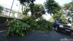 Pohon Tumbang di Daan Mogot Bikin Macet