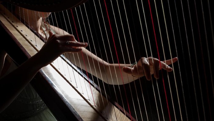 girl is playing harp in darknes