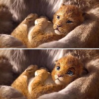 Seniman Nikolay Mochkin tampaknya termasuk dalam kelompok penonton yang sependapat dengan hal itu. Berkolaborasi dengan desainer grafis Design By Feo, Nikolay menciptakan kembali karakter The Lion King yang lebih berekspresi. Foto: Dok. Nikolay Mochkin