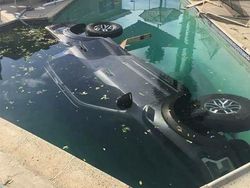 Hari Buruk? Foto-foto Ini Mungkin Bikin Kamu Auto Bersyukur