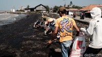 Untuk membersihkan pantai dari minyak mentah, Pertamina memberdayakan tenaga masyarakat binaan termasuk sejumlah nelayan.