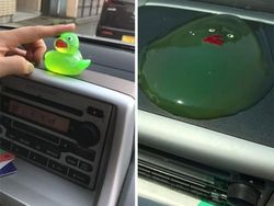 Hari Buruk? Foto-foto Ini Mungkin Bikin Kamu Auto Bersyukur