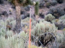 Suasana Area 51, Persembunyian Alien yang Mau Diserbu