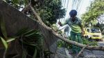 Pohon Tumbang di Daan Mogot Bikin Macet