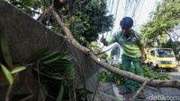 Batang pohong yang melintang ke jalan dipotong kecil-kecil.