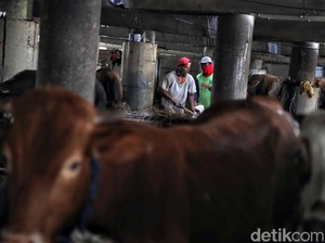 Pemprov DKI Imbau Warga yang Berkurban Tak Datang ke Lokasi Pemotongan