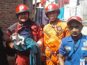 Tim Rescue Selamatkan Kucing Bunting Terperosok Sumur di Cileunyi