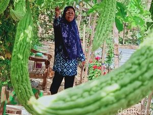 Warga Wonogiri Kembangkan Pertanian Hemat Air dan Anti Harga Jatuh