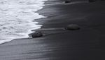 Foto: Pantai Pasir Hitam Legam, Cantik Juga