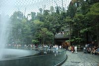Menakjubkan! Hutan 'Avatar' di Jewel Changi
