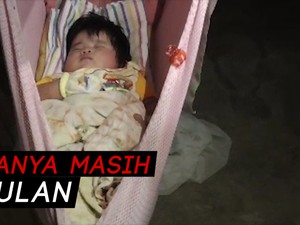 Bayi di Poliwali Mandar Beratnya 7,4 Kg karena Susu Formula