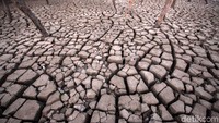 Awalnya ini merupakan lahan milik warga yang berisikan lumpur dari laut. Namun lahan tersebut menjadi retak-retak saat musim kemarau.