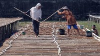Di tahun 1970-an, jumlah petani garam di area tambak seluas tiga hektare itu mencapai ratusan orang.
