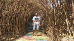 Foto: Desa Instagrammable dari Magelang