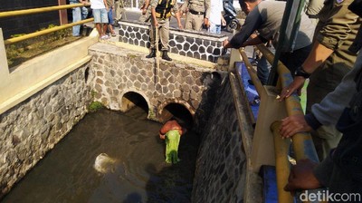 Meresahkan Warga, Pria Kolor Ijo Ditangkap Satpol PP