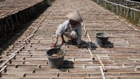 Seiring berjalannya waktu, masa kejayaan tambak garam langka di Grobogan ini mulai tenggelam. Kini, jumlah petani garam di sana hanya tersisa puluhan. Kebanyakan warga terpaksa meninggalkan profesi mereka karena hasil yang didapatkan tak cukup untuk memenuhi kebutuhan sehari-hari.Tak sedikit pula warga yang akhirnya memilih pekerjaan lain karena tak adanya regenerasi.