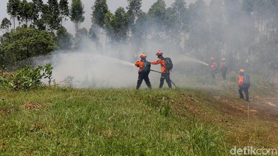 Kesiapan dan Pencegahan Menghadapi Karhutla
