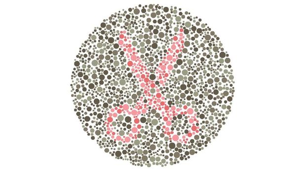 Tes buta warna Tes buta warna detikHealth.