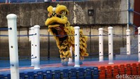 Nantinya barongsai juga akan ambil bagian dalam memeriahkan Festival Cisadane.