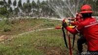 Di tahap deteksi dini, perusahaan menyiapkan 32 unit kamera thermal dan CCTV, 43 menara api yang tersebar di beberapa wilayah. Semua peralatan ini digunakan oleh tim IMF saat patroli di darat, air dan udara untuk melakukan pemantauan api.