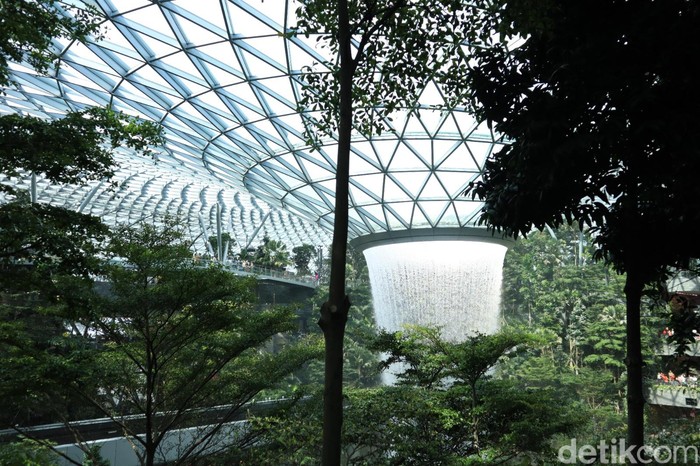 Menakjubkan! Hutan Avatar di Jewel Changi